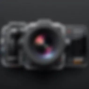 Insights from User Reviews on Video Cameras User reviews for professional video cameras
