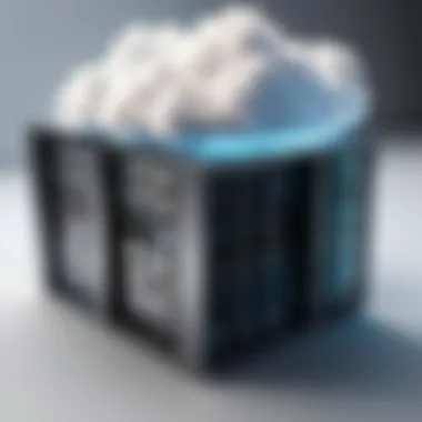 Implications of Cloud Hardware Hosting for IT Professionals Impact on IT Professionals