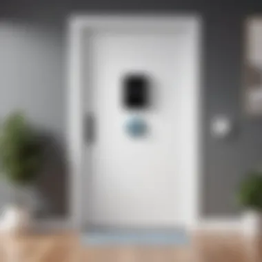 Benefits of Using Ring Door Cameras in Home Security Benefits of using Ring door cameras in home security