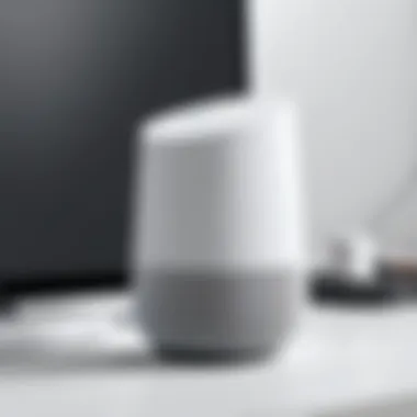 User interface of the Google Home app for setup