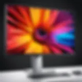 Dell monitor showcasing vibrant display