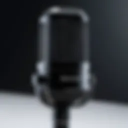Close-up view of a budget microphone showcasing its design and features