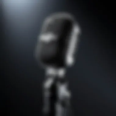 Dynamic microphone used in live performances