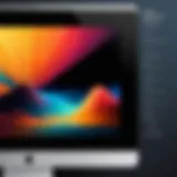 Showcase of popular photo filters on Mac