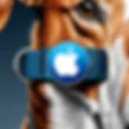 Apple AirTag attached to a pet collar
